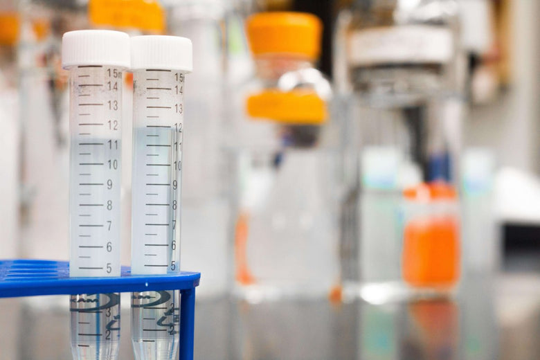 Drug Testing in the Workplace